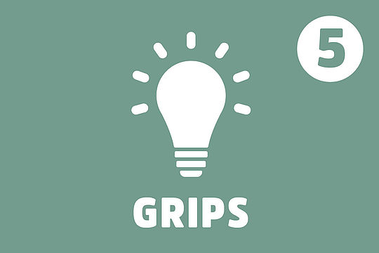 Symbol: Glühbirne; Text: Grips; Wichtigkeit: 5