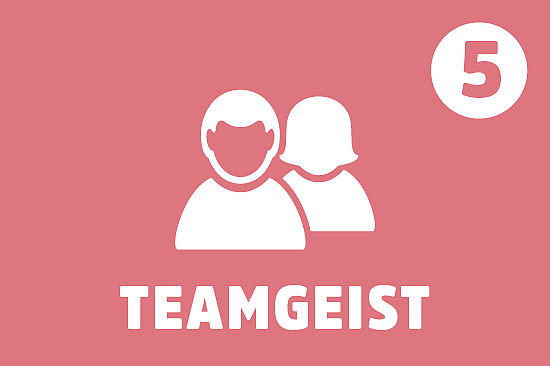 ymbol: Zwei Personen; Text: Teamgeist; Wichtigkeit: 5