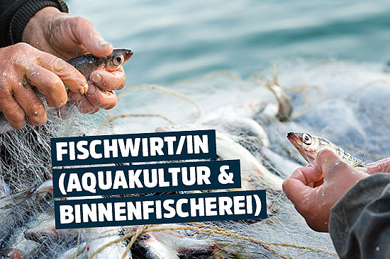 Foto: Zwei Fischer holen ihren Fang aus dem Netz. Text: „Fischwirt/in (Aquakultur und Binnenfischerei).“