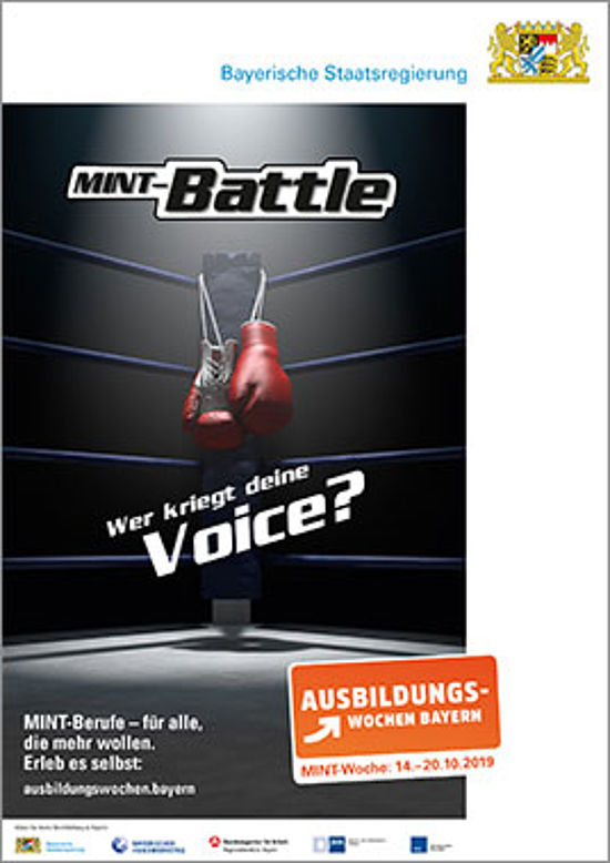 Ausschnitt eines Box-Rings mit Box Handschuhen. Zeile: "MINT-Battle. Wer kriegt deine Voice?