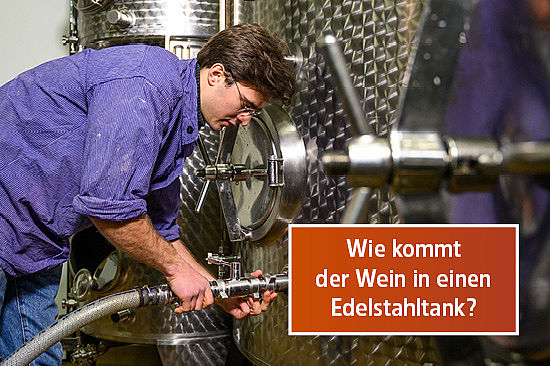 Text-Logo: Wie kommt der Wein in einen Edelstahltank? Bild: Ein junger Mann befestigt einen Schlauch an einem großen Metalltank.  