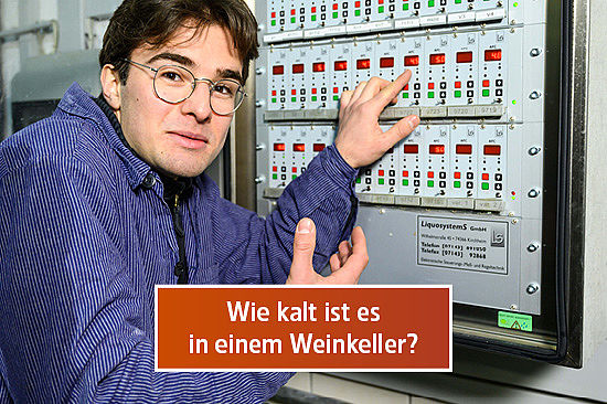 Text-Logo: Wie kalt ist es in einem Weinkeller? Bild: Ein junger Mann steht vor einem Schaltkasten und zieht die Schultern zusammen. 