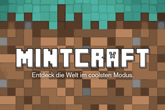 Hintergrund im Stil von Online-Spielen. Text: „MINT-Craft: Entdeck die Welt im coolsten Modus.“