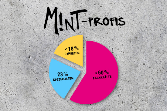 Motiv: Torten-Diagramm. Text: MINT-Profis: < 60 % Fachkräfte, 23 % Spezialisten, < 18 % Experten. 